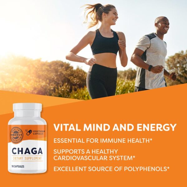 Vimergy® Chaga kapsler (Best før 30.06.2025) - Bilde 2