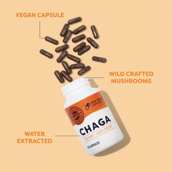 Vimergy® Chaga kapsler (Best før 30.06.2025) - Bilde 3
