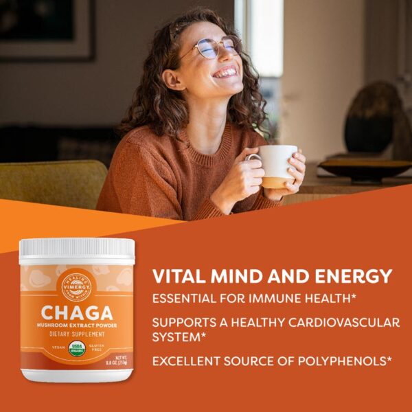 Vimergy_Chaga-Pulver-250g